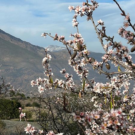 Cortijo Vacas Gordas B&B Castell de Ferro Kültér fotó