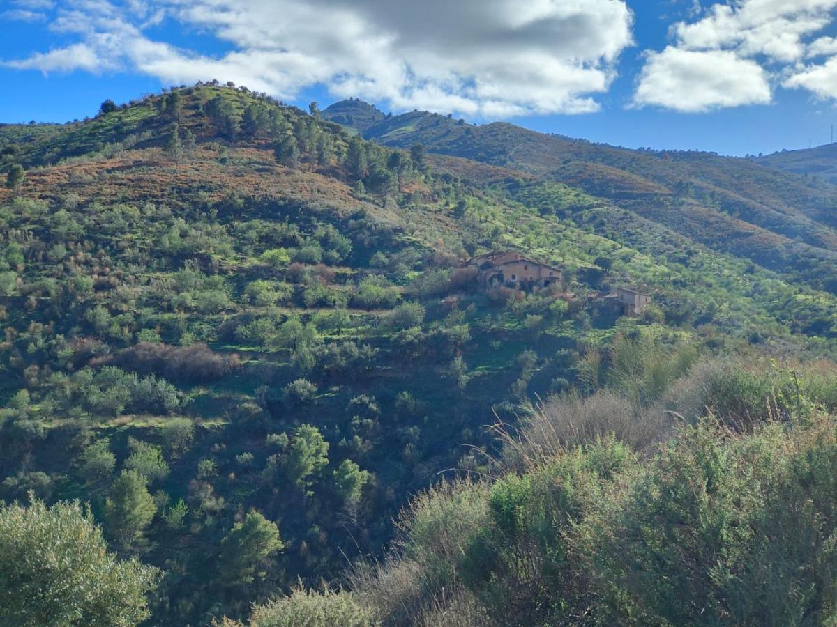 Cortijo Vacas Gordas B&B Castell de Ferro Kültér fotó