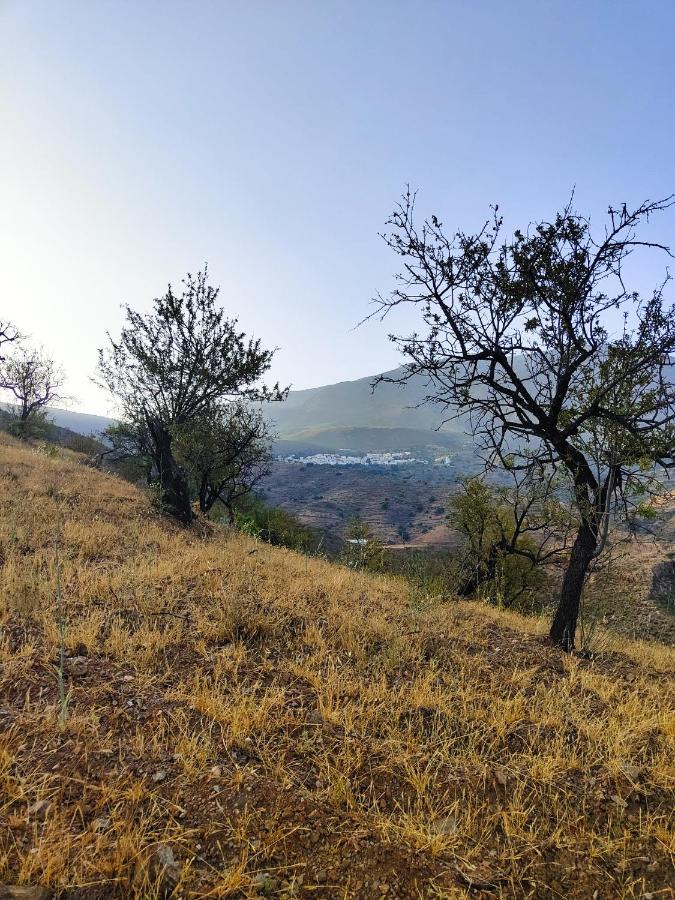 Cortijo Vacas Gordas B&B Castell de Ferro Kültér fotó