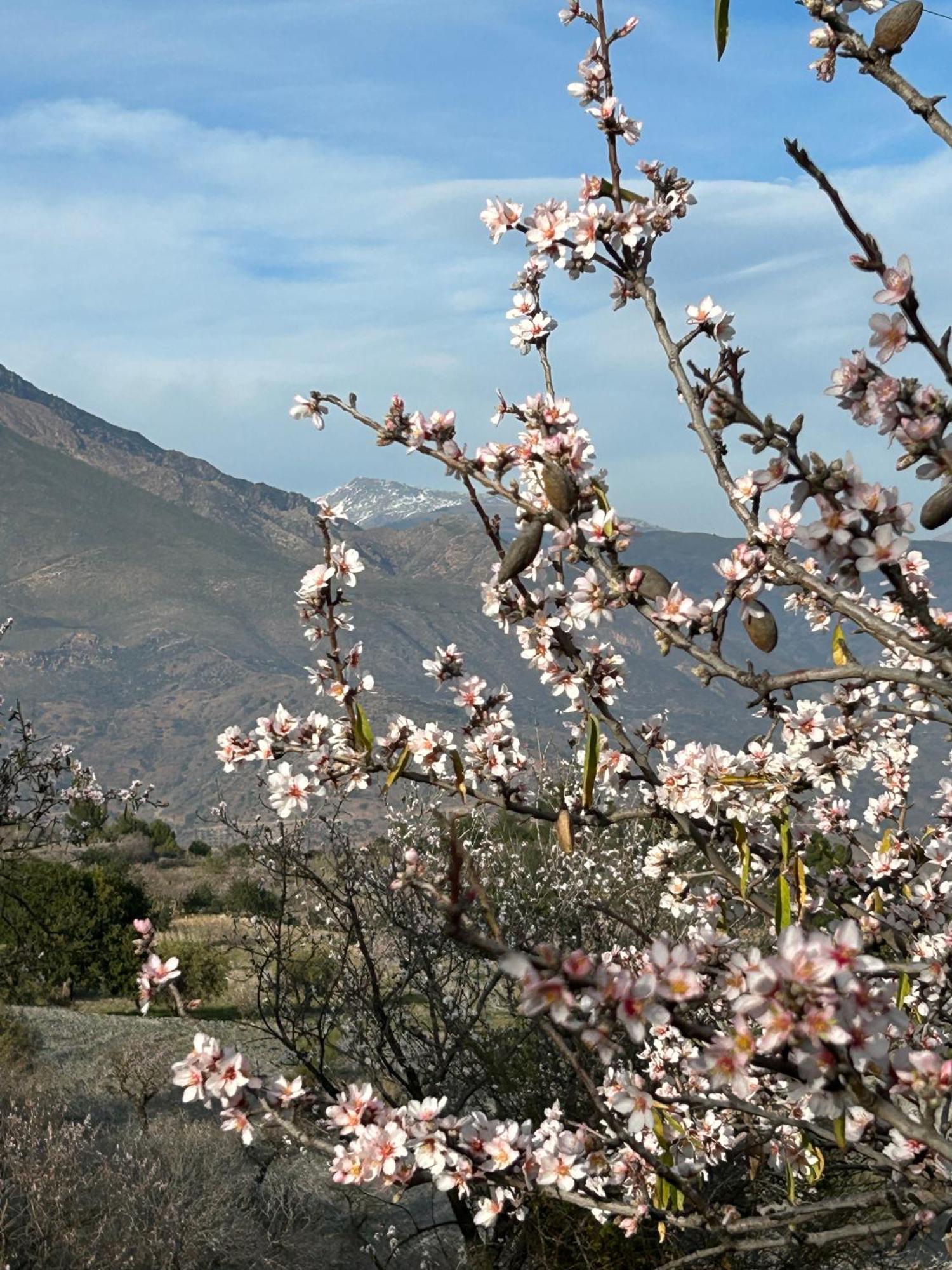 Cortijo Vacas Gordas B&B Castell de Ferro Kültér fotó